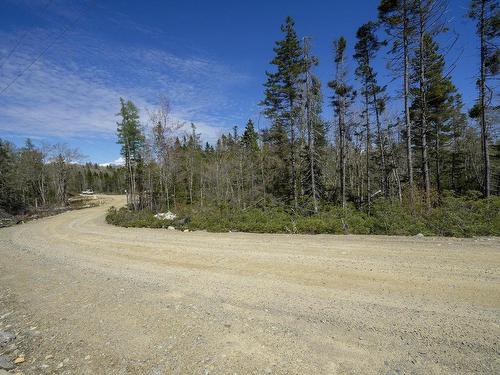 Dp 9 Eagle Road, Gavelton, NS 