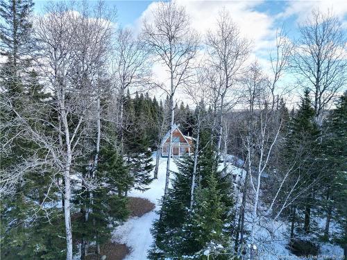 1175 Canton Rd, Dsl De Drummond/Dsl Of Drummond, NB 