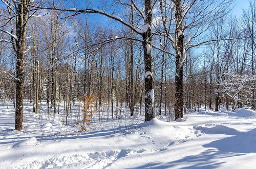 Land/Lot - 500 Ch. Élie, Sutton, QC - Outdoor With View