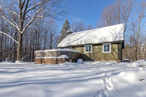 Back facade - 500 Ch. Élie, Sutton, QC - Outdoor