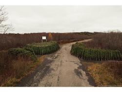 Lot Route 144 RD Siegas, NB E7E 1T8