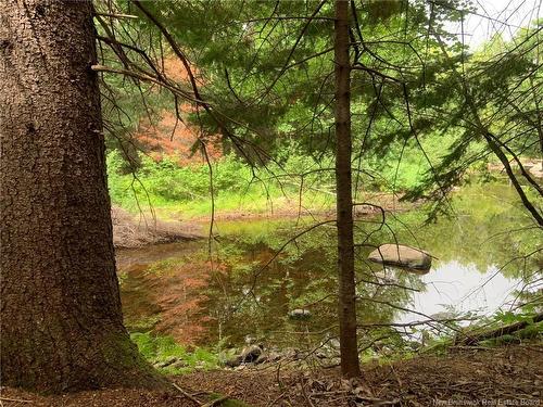 11.2 Acres South Black River, Black River Bridge, NB 