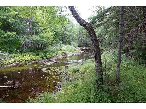 11.2 Acres South Black River, Black River Bridge, NB 
