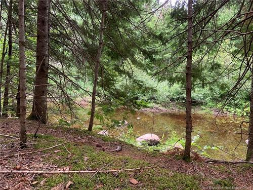 11.2 Acres South Black River, Black River Bridge, NB 