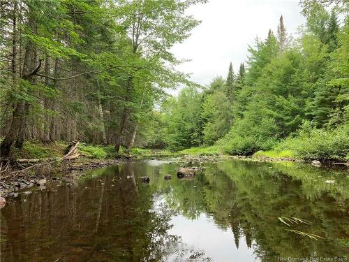 11.2 Acres South Black River, Black River Bridge, NB 