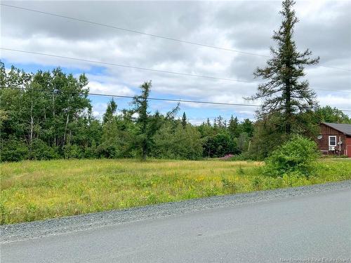 11.2 Acres South Black River, Black River Bridge, NB 
