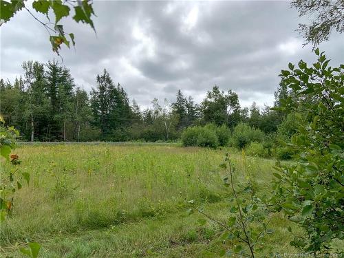 11.2 Acres South Black River, Black River Bridge, NB 