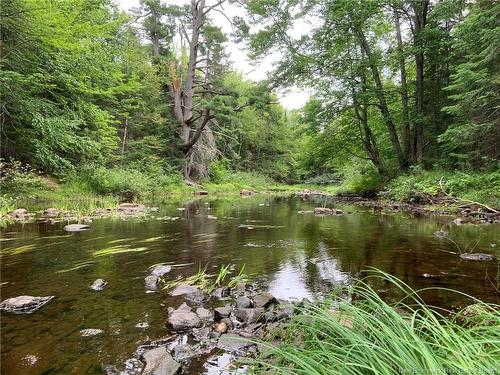 11.2 Acres South Black River, Black River Bridge, NB 