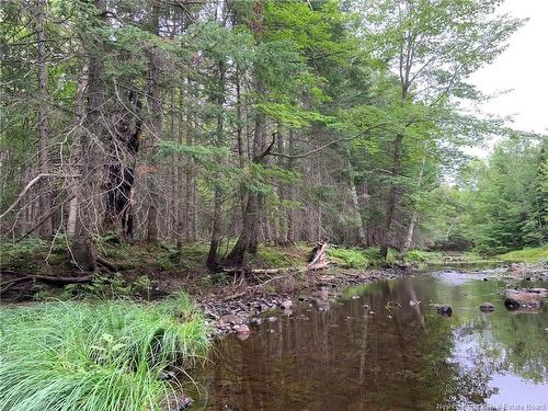 11.2 Acres South Black River, Black River Bridge, NB 
