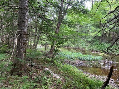 11.2 Acres South Black River, Black River Bridge, NB 