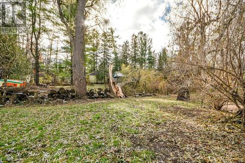 3071 Mosley Street, Wasaga Beach, ON - Outdoor