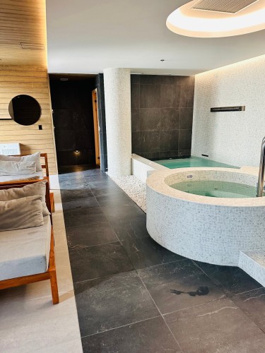 Spa - 713-505 Rue De L'Escale, Brossard, QC - Indoor Photo Showing Other Room