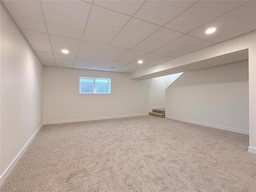 23 Silky Way, Brandon, MB - Indoor Photo Showing Basement