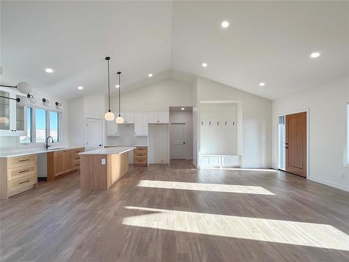 23 Silky Way, Brandon, MB - Indoor Photo Showing Kitchen With Upgraded Kitchen