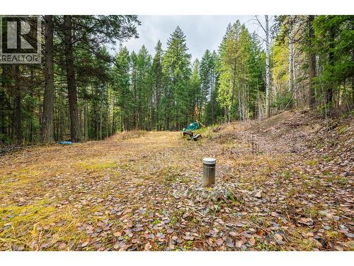 8667 Yahk Settlement Road, Yahk, BC 