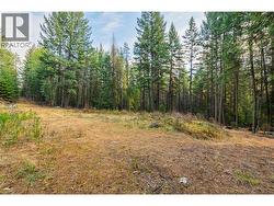 8667 Yahk Settlement Road Yahk, BC V0B 2P0