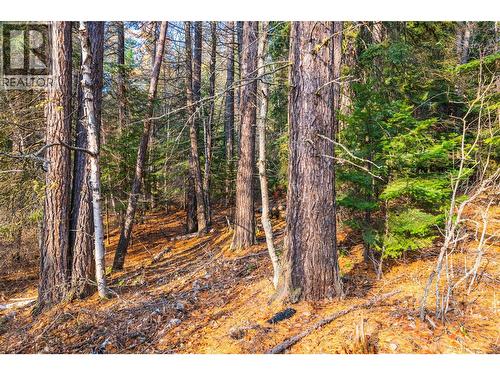 8667 Yahk Settlement Road, Yahk, BC 