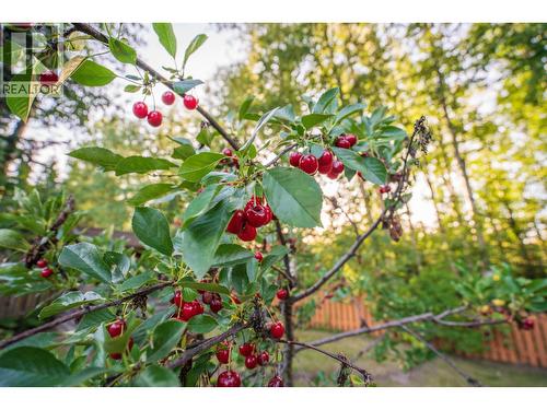 4121 Baker Road, Prince George, BC - Outdoor