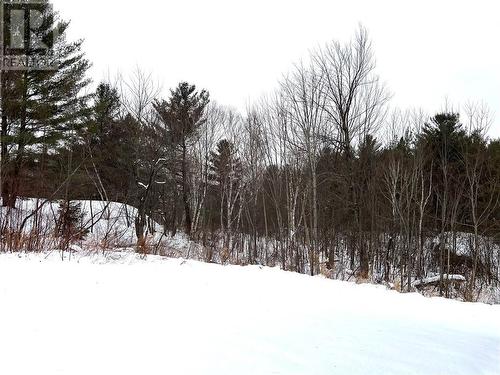 11 Chevrefils, St. Charles, ON - Outdoor With View