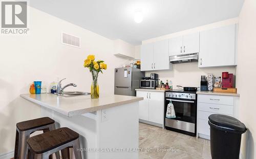 Bsmt - 124 Durham Avenue, Barrie, ON - Indoor Photo Showing Kitchen With Double Sink