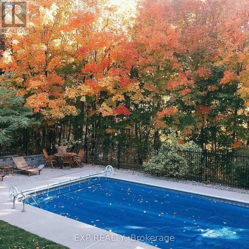 266 School House Road, Centre Hastings, ON - Outdoor With In Ground Pool