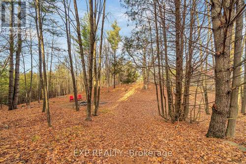 266 School House Road, Centre Hastings, ON - Outdoor With View