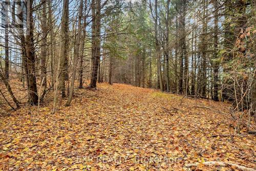 266 School House Road, Centre Hastings, ON - Outdoor With View