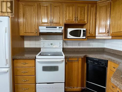 1203 - 1285 Cahill Drive, Ottawa, ON - Indoor Photo Showing Kitchen