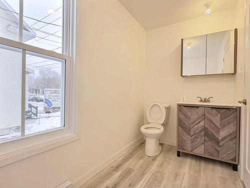 Powder room - 94 Rue Bennett O., Thetford Mines, QC - Indoor Photo Showing Bathroom