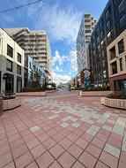 619-2114 Rue Ste-Catherine E.  Montréal (Ville-Marie), QC H2K 0C9