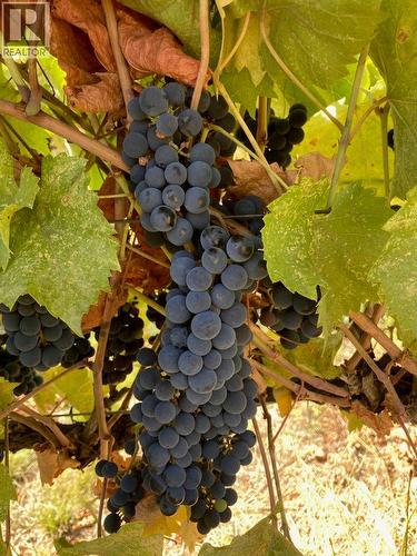 Panaroma Drive Lot# Lot B, Grand Forks, BC 