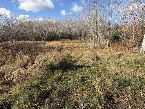 Vl Malagash Road, Malagash Centre, NS 