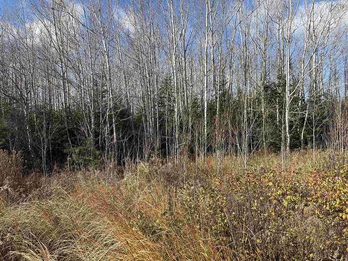 Vl Malagash Road, Malagash Centre, NS 