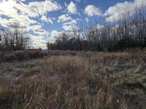 Vl Malagash Road, Malagash Centre, NS 