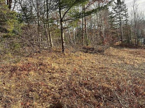 48 Valley Road, Chester, NS 