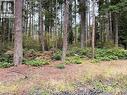 Lot 1 Lund, Powell River, BC 