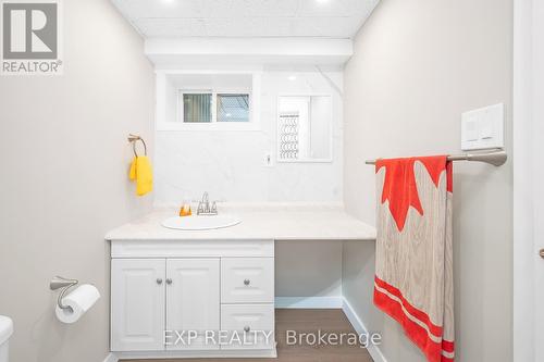 338 Delrex Boulevard, Halton Hills, ON - Indoor Photo Showing Bathroom
