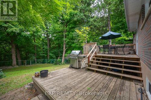338 Delrex Boulevard, Halton Hills, ON - Outdoor With Deck Patio Veranda