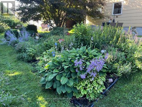 3407 Mccarthy Road, Ottawa, ON - Outdoor