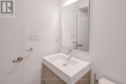 28 Turtle Island Road, Toronto, ON - Indoor Photo Showing Bathroom
