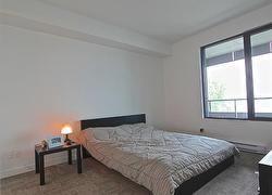 Chambre à coucher principale - 