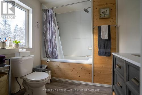 989158 Mountain Chutes Road, Timiskaming (Tim - Outside - Rural), ON - Indoor Photo Showing Bathroom
