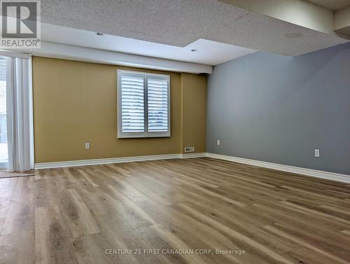 Lower - 924 Guildwood Boulevard, London North (North M), ON - Indoor Photo Showing Other Room