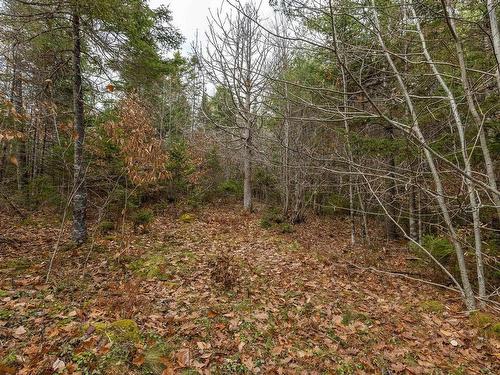741 Westfield Road, Westfield, NS 