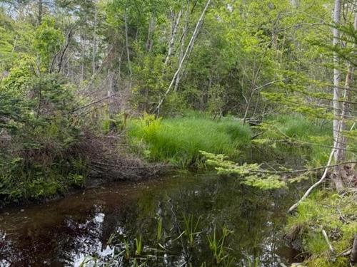 741 Westfield Road, Westfield, NS 