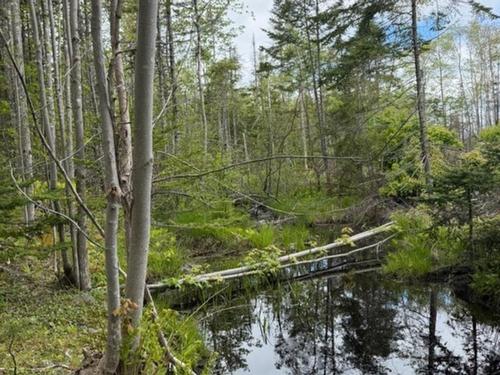 741 Westfield Road, Westfield, NS 