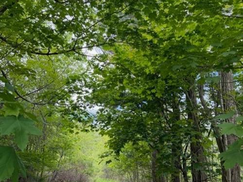 741 Westfield Road, Westfield, NS 