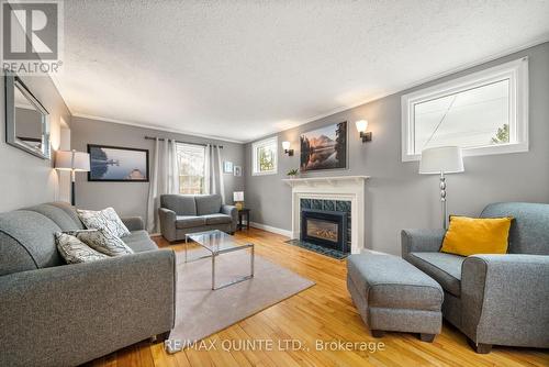 8 Greenlawn Avenue, Belleville (Belleville Ward), ON - Indoor Photo Showing Living Room With Fireplace