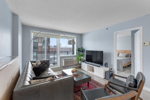 Salon - 903-1200 Rue St-Jacques, Montréal (Ville-Marie), QC - Indoor Photo Showing Living Room