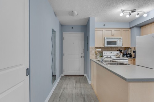 Hall d'entrée/Vestibule - 903-1200 Rue St-Jacques, Montréal (Ville-Marie), QC - Indoor Photo Showing Kitchen With Double Sink